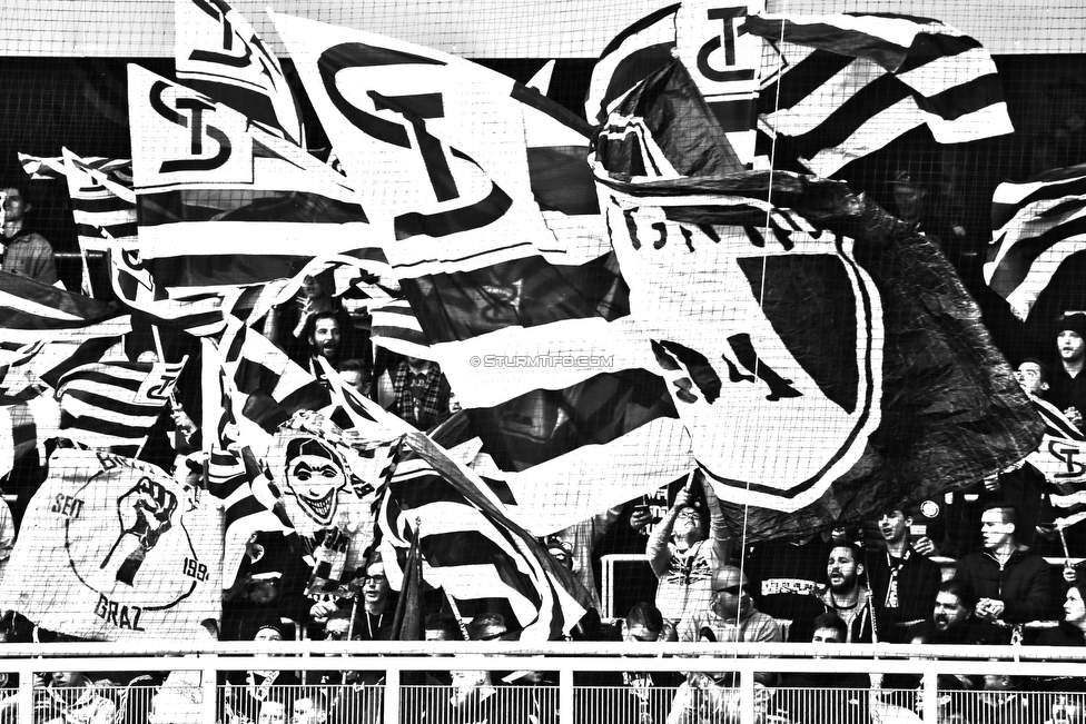 Austria Wien - Sturm Graz
Oesterreichische Fussball Bundesliga, 10. Runde, FK Austria Wien - SK Sturm Graz, Franz Horr Stadion Wien, 06.10.2019. 

Foto zeigt Fans von Sturm

