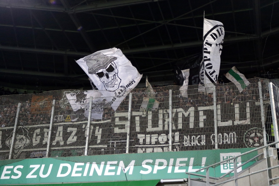 Rapid Wien - Sturm Graz
Oesterreichische Fussball Bundesliga, 15. Runde, SK Rapid Wien - SK Sturm Graz, Weststadion Wien, 24.11.2019. 

Foto zeigt Fans von Sturm
Schlüsselwörter: sturmflut