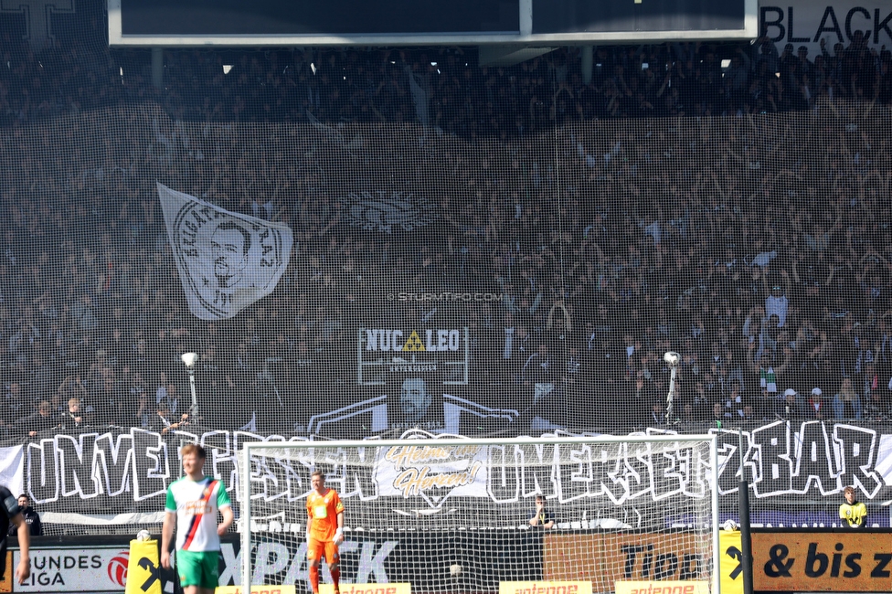 Sturm Graz - Rapid Wien
Oesterreichische Fussball Bundesliga, 27. Runde, SK Sturm Graz - SK Rapid Wien, Stadion Liebenau Graz, 17.04.2022. 

Foto zeigt Fans von Sturm
