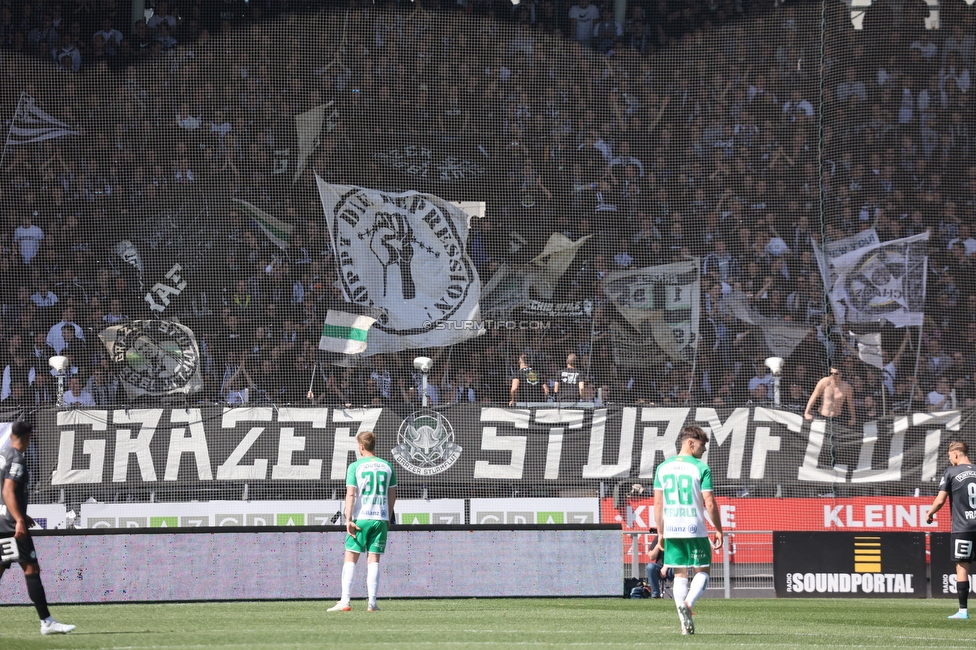 Sturm Graz - Rapid Wien
Oesterreichische Fussball Bundesliga, 27. Runde, SK Sturm Graz - SK Rapid Wien, Stadion Liebenau Graz, 17.04.2022. 

Foto zeigt Fans von Sturm
