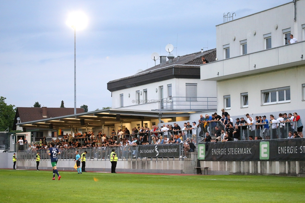 Sturm II - Hertha
Regionalliga Mitte, 33. Runde,  SK Sturm Graz II - WSC Hertha, Trainingszentrum Messendorf, 03.06.2022. 

Foto zeigt Fans von Sturm II
