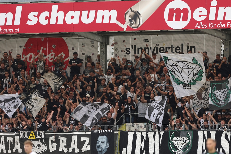 Ried - Sturm Graz
Oesterreichische Fussball Bundesliga, 3. Runde, SV Ried - SK Sturm Graz, Arena Ried, 06.08.2022. 

Foto zeigt Fans von Sturm
