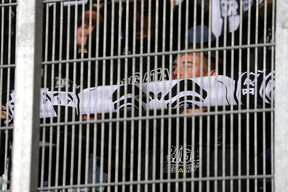 Austria Wien - Sturm Graz
Oesterreichische Fussball Bundesliga, 10. Runde, FK Austria Wien - SK Sturm Graz, Generali-Arena Wien, 02.10.2022. 

Foto zeigt Fans von Sturm
