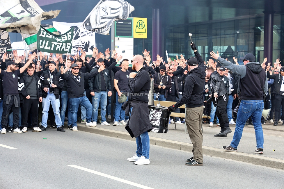 Sturm Graz - Rapid Wien
Oesterreichische Fussball Bundesliga, 23. Runde, SK Sturm Graz - SK Rapid Wien, Stadion Liebenau Graz, 02.04.2023. 

Foto zeigt Fans von Sturm beim Corteo
