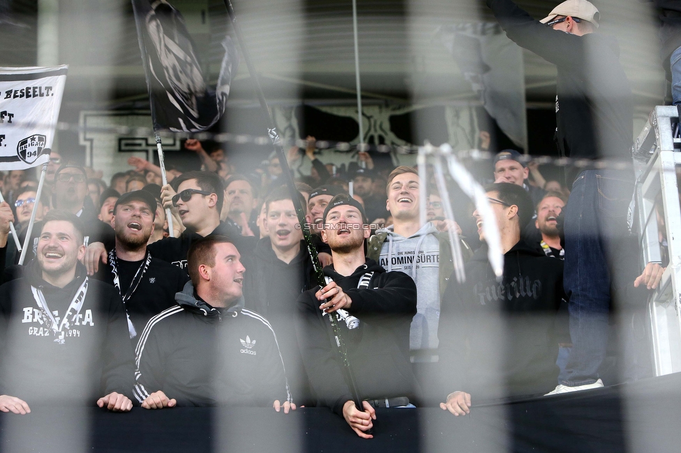 Sturm Graz - Austria Wien
Oesterreichische Fussball Bundesliga, 27. Runde, SK Sturm Graz - FK Austria Wien, Stadion Liebenau Graz, 26.04.2023. 

Foto zeigt Fans von Sturm
