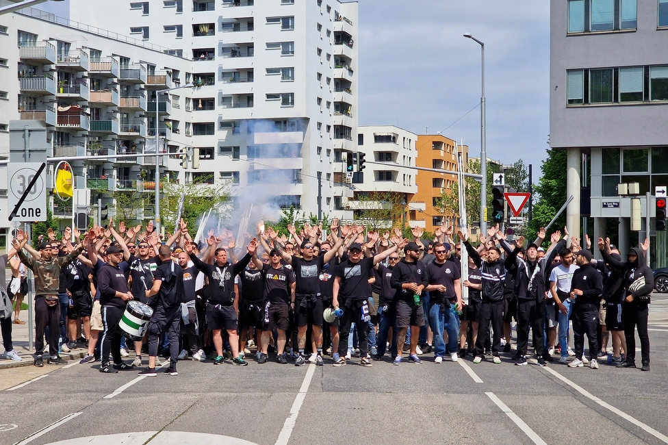 Austria Wien - Sturm Graz
Oesterreichische Fussball Bundesliga, 28. Runde, FK Austria Wien - SK Sturm Graz, Franz Horr Stadion Wien, 07.05.2023. 

Foto zeigt Fans von Sturm beim Corteo
