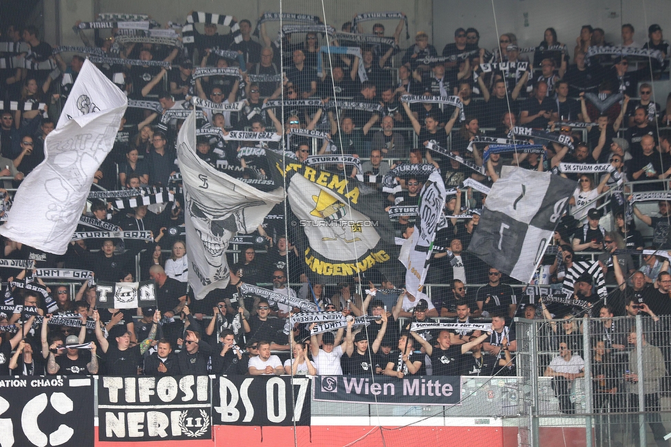 Austria Wien - Sturm Graz
Oesterreichische Fussball Bundesliga, 28. Runde, FK Austria Wien - SK Sturm Graz, Franz Horr Stadion Wien, 07.05.2023. 

Foto zeigt Fans von Sturm
Schlüsselwörter: tifosineri blackstorm schals