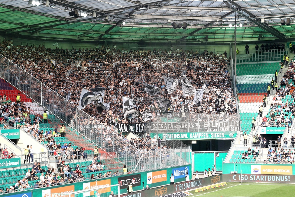 Rapid Wien - Sturm Graz
Oesterreichische Fussball Bundesliga, 31. Runde, SK Rapid Wien - SK Sturm Graz, Weststadion Wien, 28.05.2023. 

Foto zeigt Fans von Sturm
