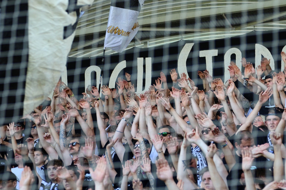 Sturm Graz - LASK
Oesterreichische Fussball Bundesliga, 32. Runde, SK Sturm Graz - LASK, Stadion Liebenau Graz, 03.06.2023. 

Foto zeigt Fans von Sturm
Schlüsselwörter: torjubel