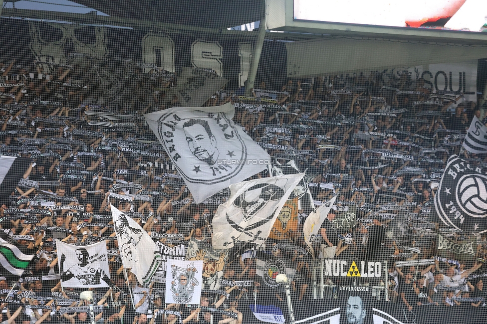 Sturm - PSV
UEFA Champions League Qualifikation 3. Runde, SK Sturm Graz - PSV Eindhoven, Stadion Liebenau Graz, 15.08.2023. 

Foto zeigt Fans von Sturm
