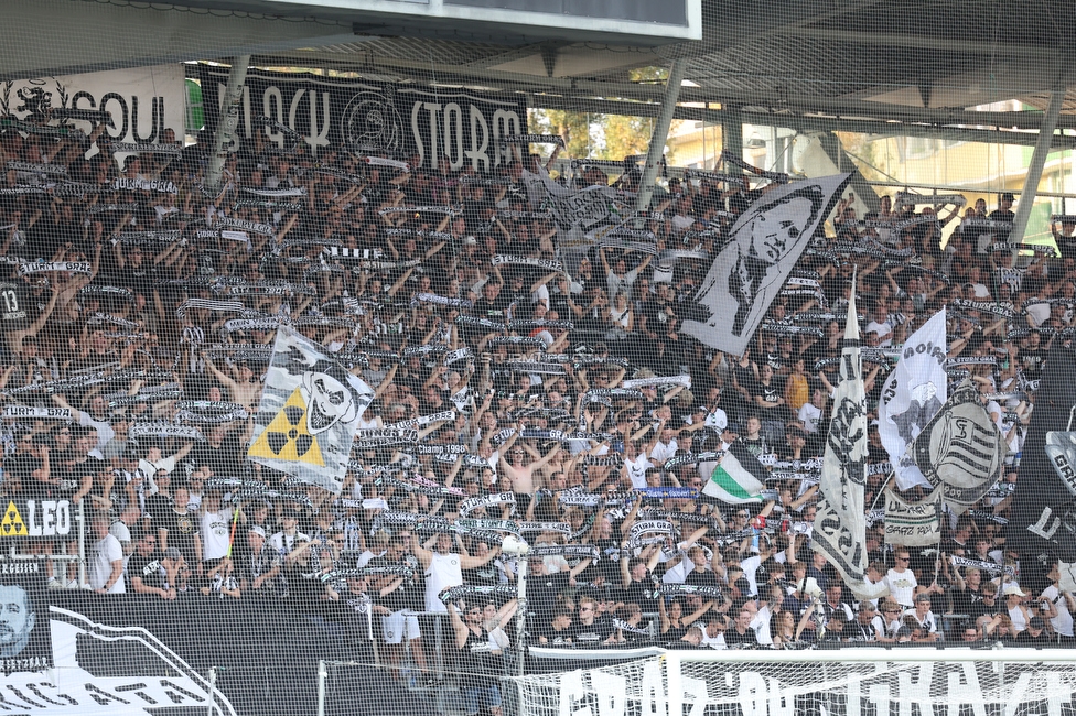 Sturm Graz - BW Linz
Oesterreichische Fussball Bundesliga, 4. Runde, SK Sturm Graz - FC Blau Weiss Linz, Stadion Liebenau Graz, 26.08.2023. 

Foto zeigt Fans von Sturm
Schlüsselwörter: schals