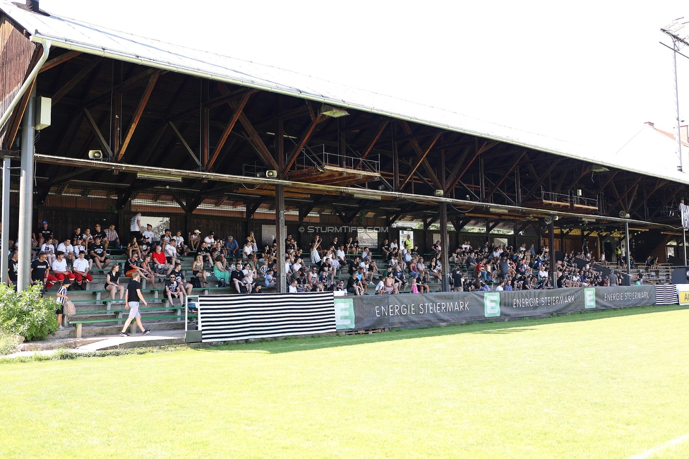 Sturm Damen - SPG FC Lustenau FC Dornbirn Ladies
OEFB Frauen Bundesliga, 1. Runde, SK Sturm Graz Damen - SPG FC Lustenau FC Dornbirn Ladies, Gruabn Graz, 26.08.2023. 

Foto zeigt Fans von Sturm
