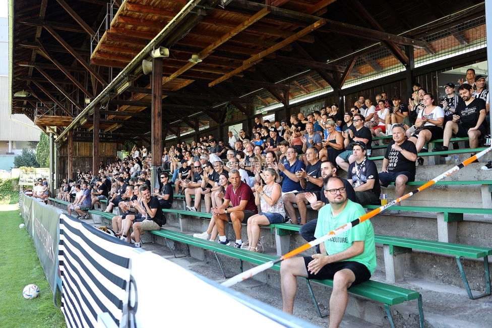 Sturm Damen - SPG FC Lustenau FC Dornbirn Ladies
OEFB Frauen Bundesliga, 1. Runde, SK Sturm Graz Damen - SPG FC Lustenau FC Dornbirn Ladies, Gruabn Graz, 26.08.2023. 

Foto zeigt Fans von Sturm
