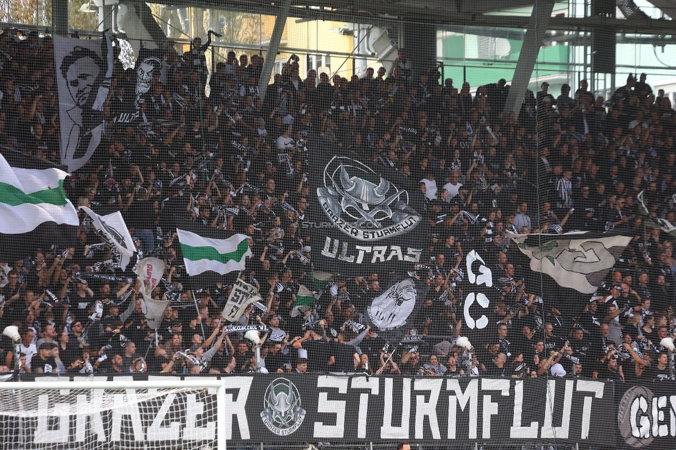 Sturm Graz - Hartberg
Oesterreichische Fussball Bundesliga, 11. Runde, SK Sturm Graz - TSV Hartberg, Stadion Liebenau Graz, 21.10.2023. 

Foto zeigt Fans von Sturm
Schlüsselwörter: sturmflut