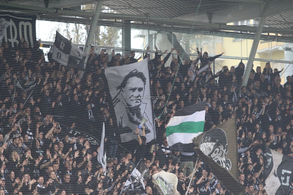 Sturm Graz - Austria Wien
Oesterreichische Fussball Bundesliga, 12. Runde, SK Sturm Graz - FK Austria Wien,  Stadion Liebenau Graz, 29.10.2023. 

Foto zeigt Fans von Sturm
