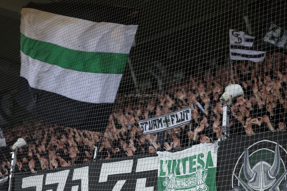 GAK - Sturm Graz
OEFB Cup, 3. Runde, Grazer AK - SK Sturm Graz, Stadion Liebenau Graz, 02.11.2023. 

Foto zeigt Fans von Sturm
Schlüsselwörter: sturmflut