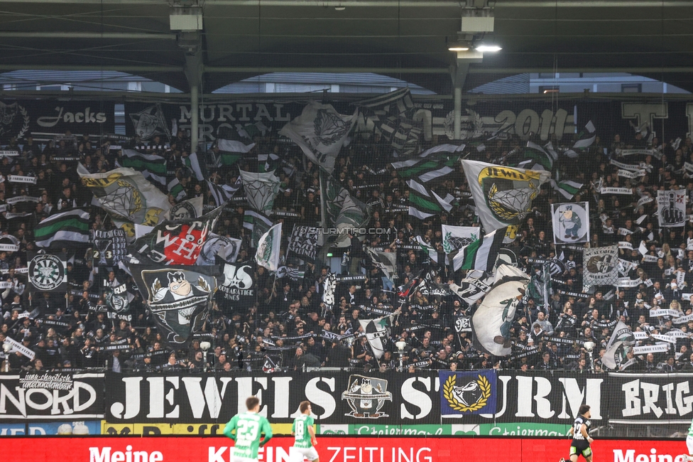 Sturm Graz - Rapid
Oesterreichische Fussball Bundesliga, 19. Runde, SK Sturm Graz - SK Rapid Wien, Stadion Liebenau Graz, 18.02.2024. 

Foto zeigt Fans von Sturm mit einer Choreografie
