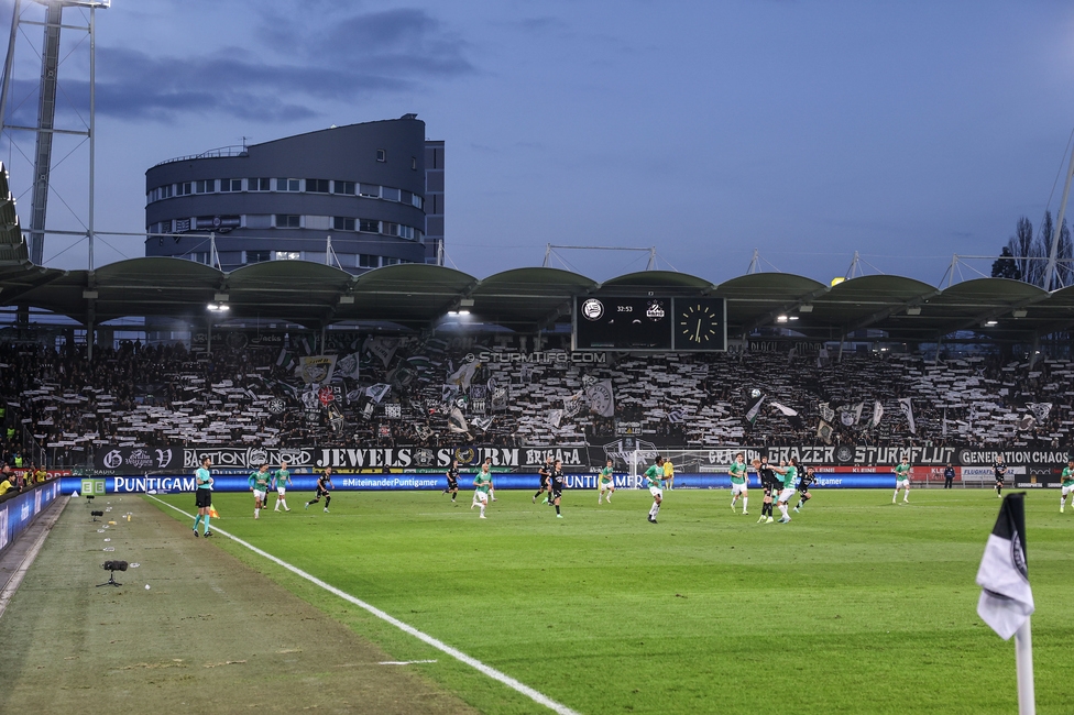 Sturm Graz - Rapid
Oesterreichische Fussball Bundesliga, 19. Runde, SK Sturm Graz - SK Rapid Wien, Stadion Liebenau Graz, 18.02.2024. 

Foto zeigt Fans von Sturm mit einer Choreografie
