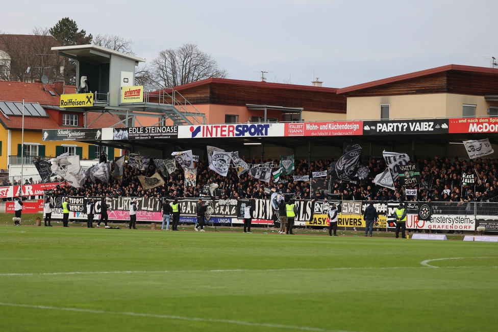 Hartberg - Sturm Graz
Oesterreichische Fussball Bundesliga, 22. Runde, TSV Hartberg - SK Sturm Graz, Arena Hartberg, 10.03.2024. 

Foto zeigt Fans von Sturm
