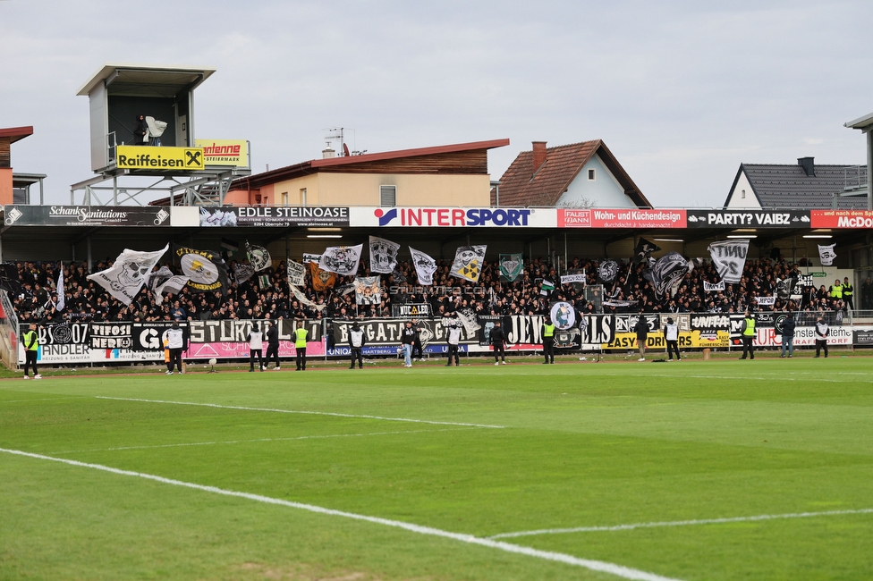 Hartberg - Sturm Graz
Oesterreichische Fussball Bundesliga, 22. Runde, TSV Hartberg - SK Sturm Graz, Arena Hartberg, 10.03.2024. 

Foto zeigt Fans von Sturm
