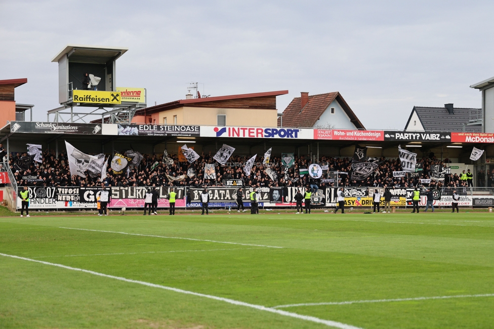 Hartberg - Sturm Graz
Oesterreichische Fussball Bundesliga, 22. Runde, TSV Hartberg - SK Sturm Graz, Arena Hartberg, 10.03.2024. 

Foto zeigt Fans von Sturm
