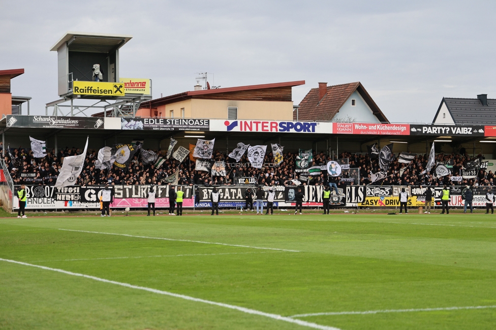 Hartberg - Sturm Graz
Oesterreichische Fussball Bundesliga, 22. Runde, TSV Hartberg - SK Sturm Graz, Arena Hartberg, 10.03.2024. 

Foto zeigt Fans von Sturm
