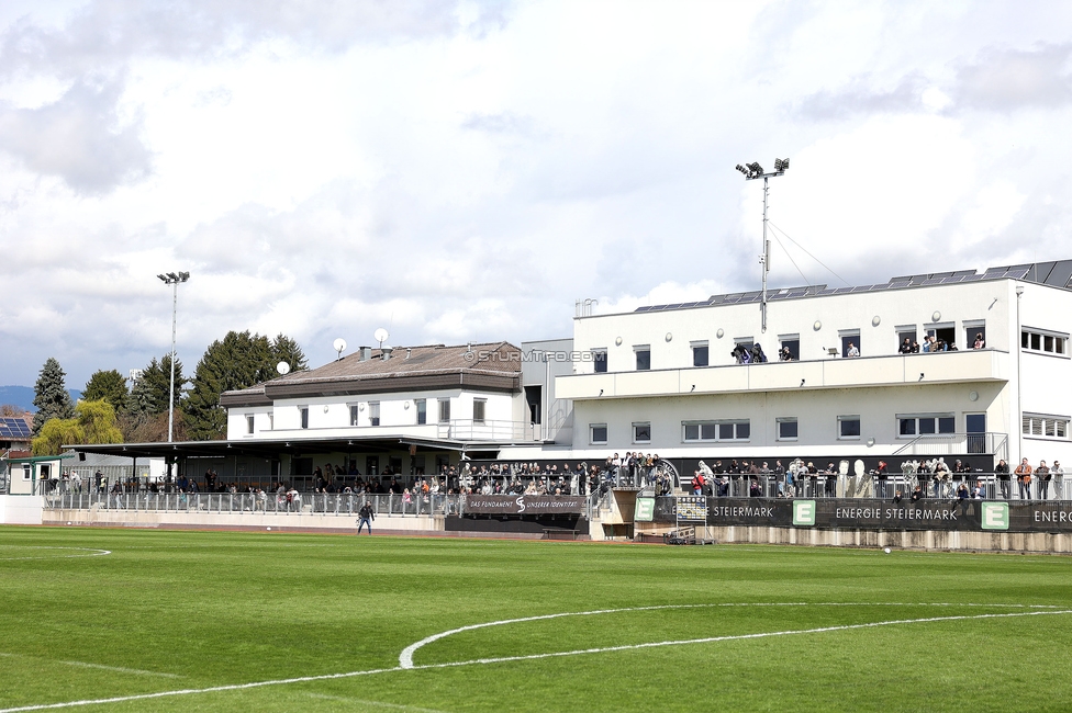 Sturm Damen - Altach
OEFB Frauen Bundesliga, 11. Runde, SK Sturm Graz Damen - SPG SCR Altach FFC Vorderland, Trainingszentrum Messendorf, 24.03.2024. 

Foto zeigt Fans von Sturm
