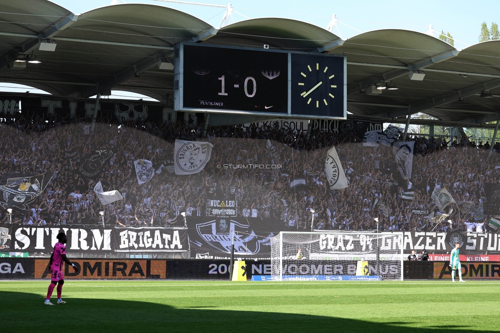 Sturm Graz - LASK
Oesterreichische Fussball Bundesliga, 25. Runde, SK Sturm Graz - LASK, Stadion Liebenau Graz, 07.04.2024. 

Foto zeigt Fans von Sturm
