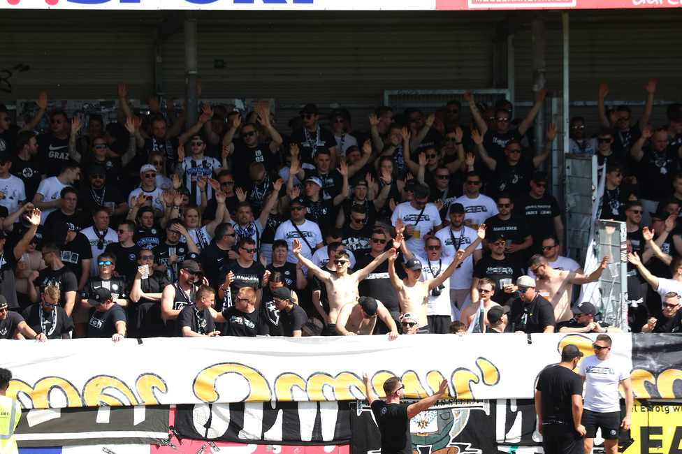 Hartberg - Sturm Graz
Oesterreichische Fussball Bundesliga, 26. Runde, TSV Hartberg - SK Sturm Graz,  PROfertil ARENA Hartberg, 14.04.2024. 

Foto zeigt Fans von Sturm
