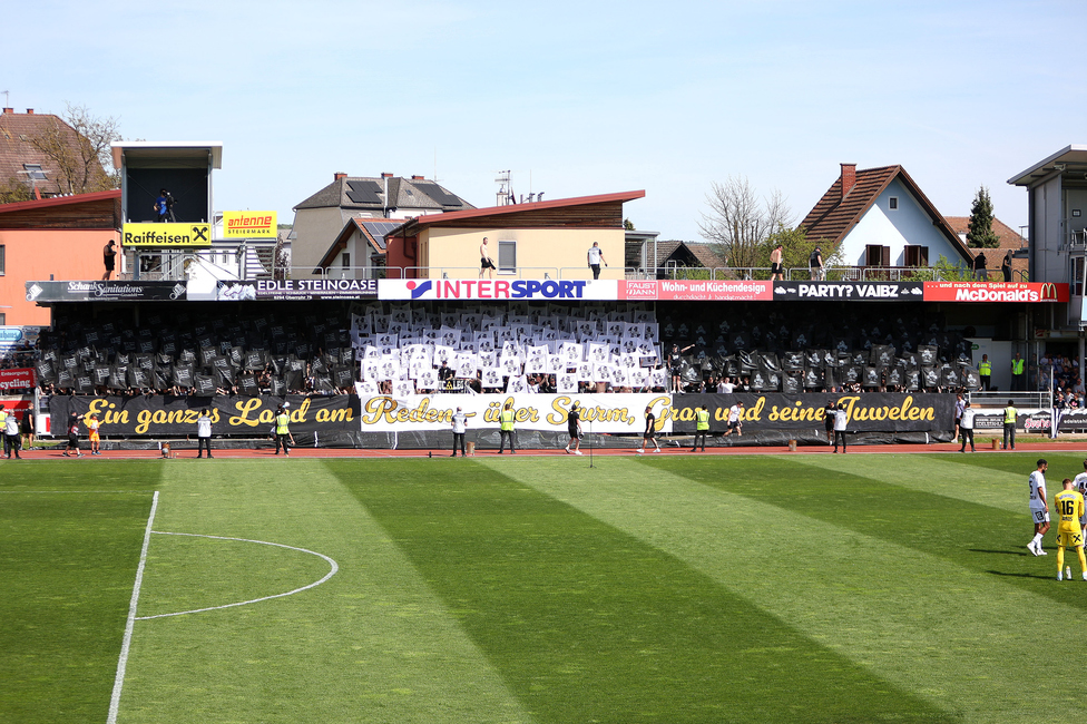 Hartberg - Sturm Graz
Oesterreichische Fussball Bundesliga, 26. Runde, TSV Hartberg - SK Sturm Graz,  PROfertil ARENA Hartberg, 14.04.2024. 

Foto zeigt Fans von Sturm mit einer Choreografie
