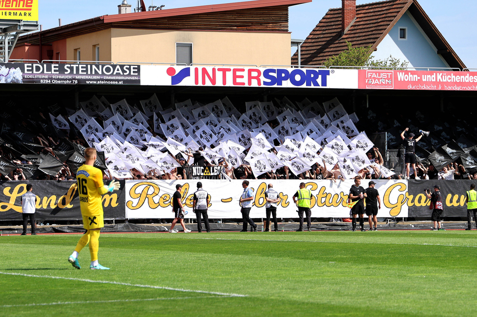 Hartberg - Sturm Graz
Oesterreichische Fussball Bundesliga, 26. Runde, TSV Hartberg - SK Sturm Graz,  PROfertil ARENA Hartberg, 14.04.2024. 

Foto zeigt Fans von Sturm mit einer Choreografie
