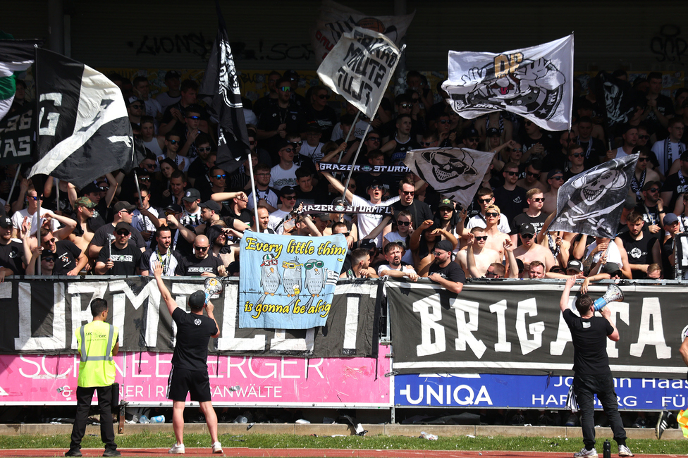 Hartberg - Sturm Graz
Oesterreichische Fussball Bundesliga, 26. Runde, TSV Hartberg - SK Sturm Graz,  PROfertil ARENA Hartberg, 14.04.2024. 

Foto zeigt Fans von Sturm
