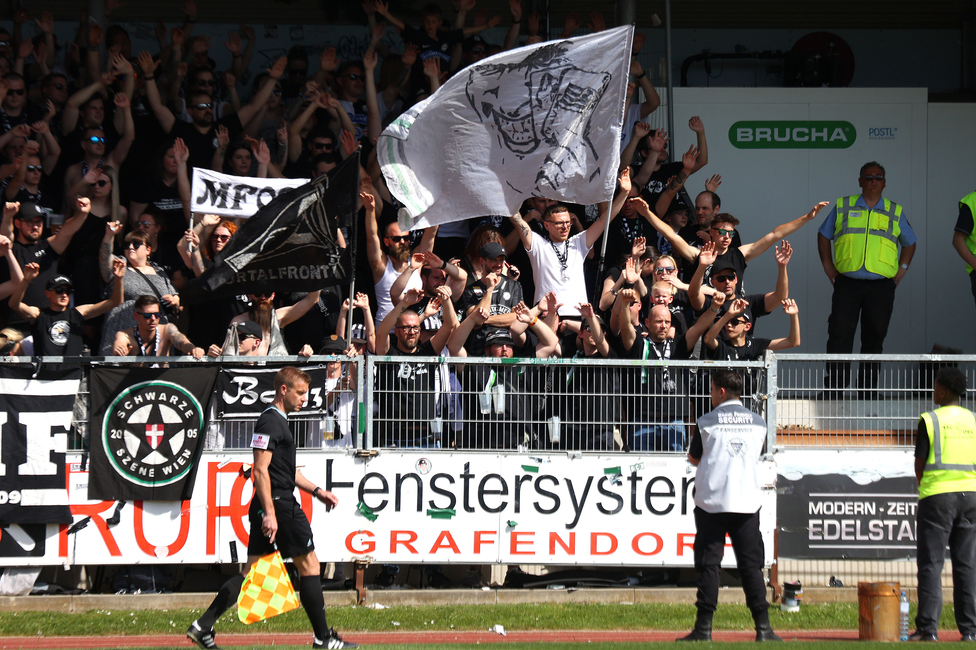 Hartberg - Sturm Graz
Oesterreichische Fussball Bundesliga, 26. Runde, TSV Hartberg - SK Sturm Graz,  PROfertil ARENA Hartberg, 14.04.2024. 

Foto zeigt Fans von Sturm
