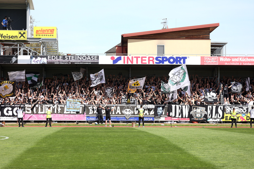 Hartberg - Sturm Graz
Oesterreichische Fussball Bundesliga, 26. Runde, TSV Hartberg - SK Sturm Graz,  PROfertil ARENA Hartberg, 14.04.2024. 

Foto zeigt Fans von Sturm
