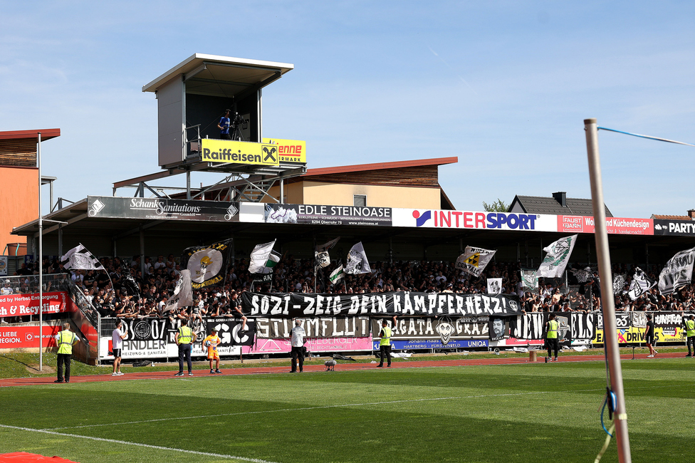 Hartberg - Sturm Graz
Oesterreichische Fussball Bundesliga, 26. Runde, TSV Hartberg - SK Sturm Graz,  PROfertil ARENA Hartberg, 14.04.2024. 

Foto zeigt Fans von Sturm mit einem Spruchband
