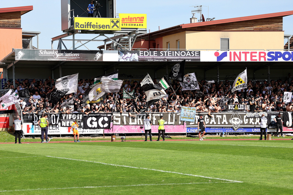 Hartberg - Sturm Graz
Oesterreichische Fussball Bundesliga, 26. Runde, TSV Hartberg - SK Sturm Graz,  PROfertil ARENA Hartberg, 14.04.2024. 

Foto zeigt Fans von Sturm
