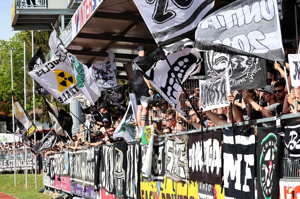 Hartberg - Sturm Graz
Oesterreichische Fussball Bundesliga, 26. Runde, TSV Hartberg - SK Sturm Graz,  PROfertil ARENA Hartberg, 14.04.2024. 

Foto zeigt Fans von Sturm
