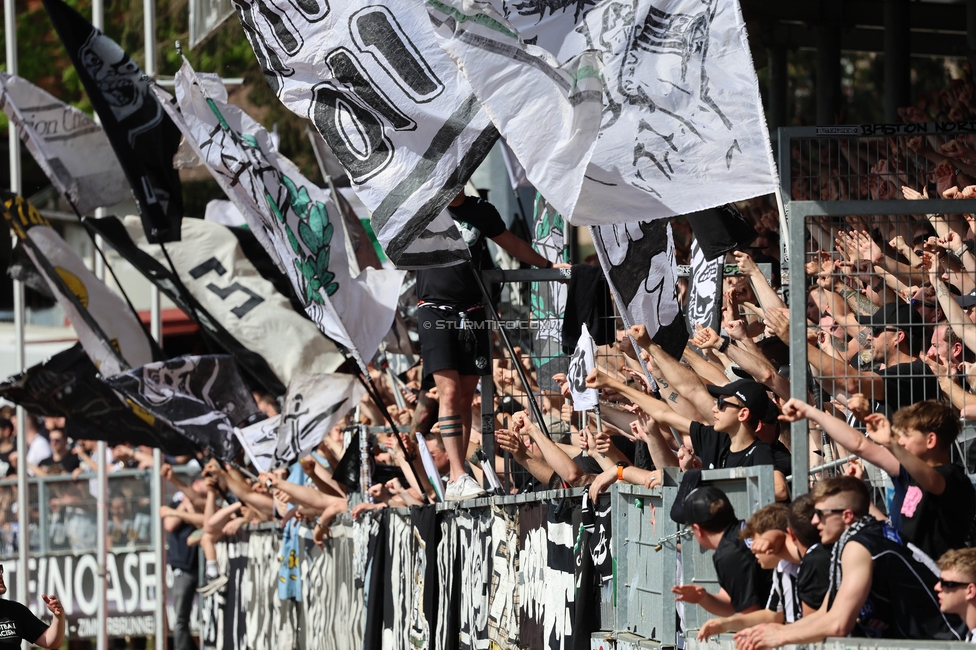 Hartberg - Sturm Graz
Oesterreichische Fussball Bundesliga, 26. Runde, TSV Hartberg - SK Sturm Graz,  PROfertil ARENA Hartberg, 14.04.2024. 

Foto zeigt Fans von Sturm
