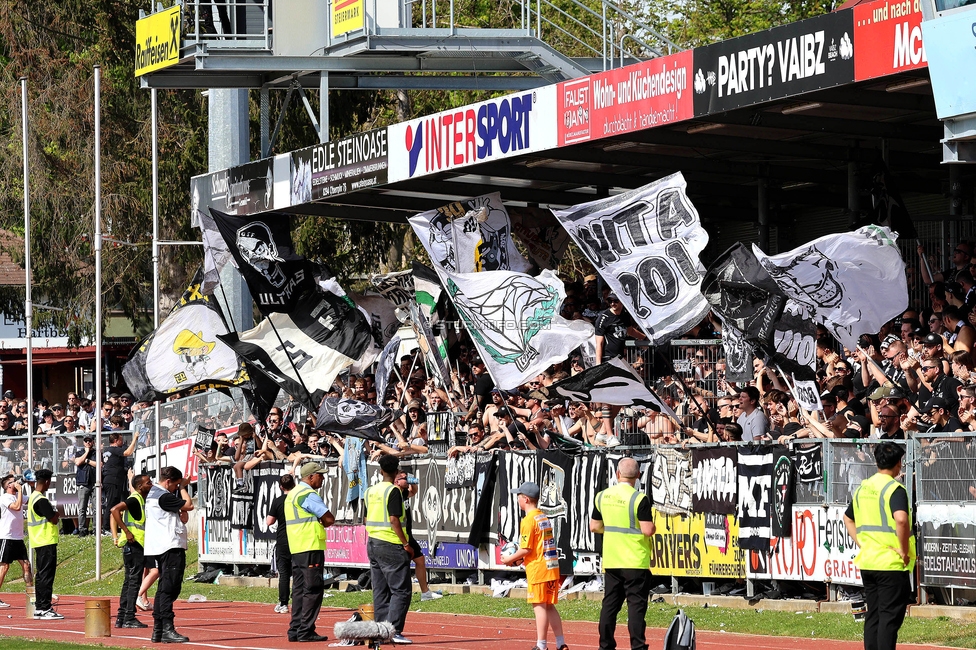 Hartberg - Sturm Graz
Oesterreichische Fussball Bundesliga, 26. Runde, TSV Hartberg - SK Sturm Graz,  PROfertil ARENA Hartberg, 14.04.2024. 

Foto zeigt Fans von Sturm
