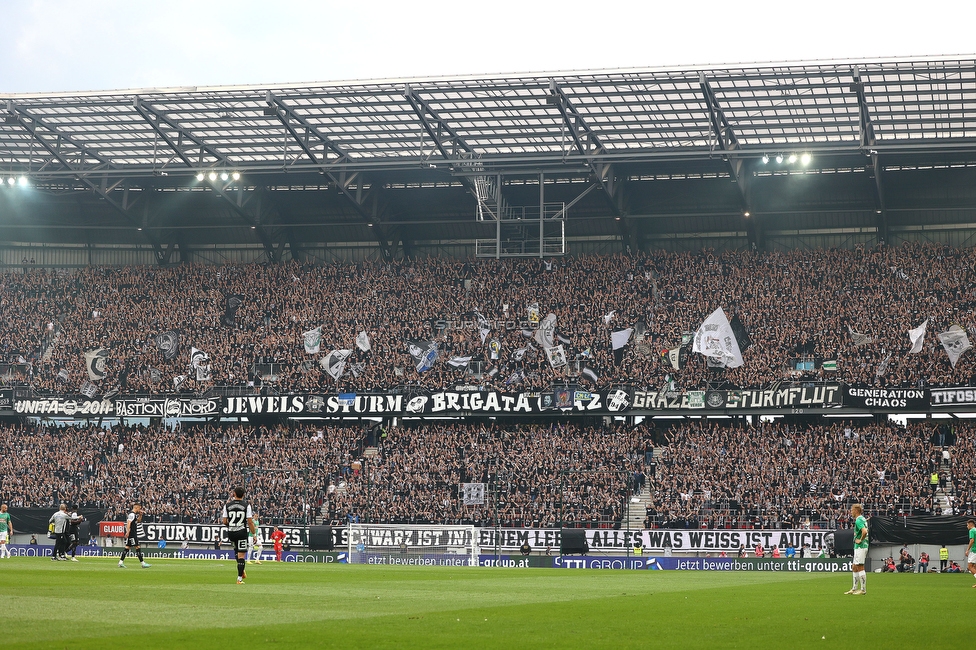 Sturm Graz - Rapid Wien
OEFB Cup, Finale, SK Sturm Graz - SK Rapid Wien, Woerthersee Stadion Klagenfurt, 01.05.2024. 

Foto zeigt Fans von Sturm
