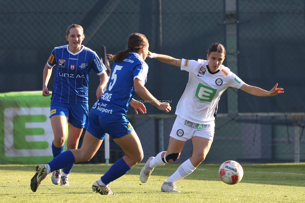 Foto (c) by SturmTifo.com