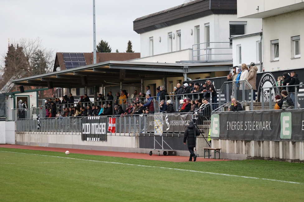 Sturm Damen - Bergheim
OEFB Frauen Bundesliga, 17. Runde, SK Sturm Graz Damen - FC Bergheim, Trainingszentrum Messendorf, 15.03.2025. 

Foto zeigt Fans von Sturm
