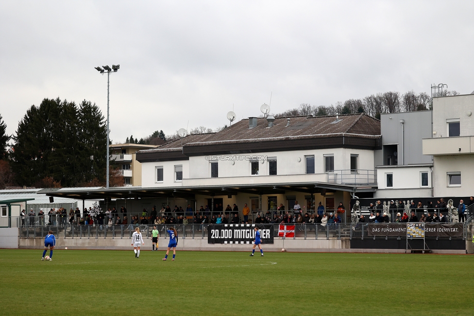 Sturm Damen - Bergheim
OEFB Frauen Bundesliga, 17. Runde, SK Sturm Graz Damen - FC Bergheim, Trainingszentrum Messendorf, 15.03.2025. 

Foto zeigt Fans von Sturm
