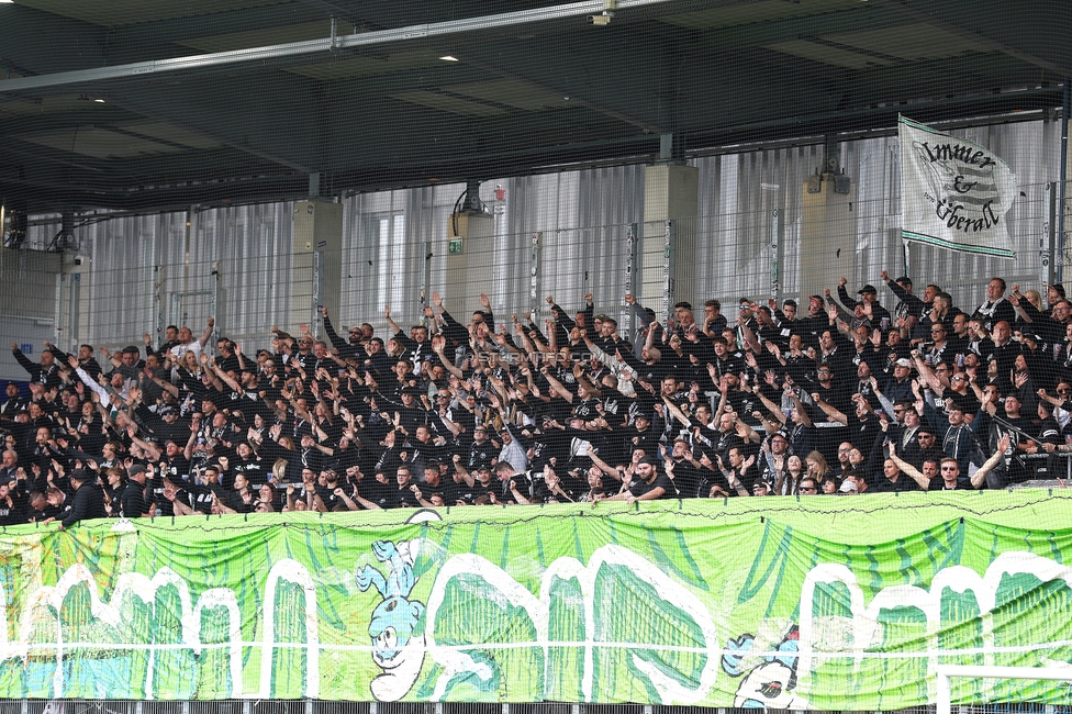 BW Linz - Sturm Graz
Oesterreichische Fussball Bundesliga, 29. Runde, Blau-Weiss Linz - SK Sturm Graz, Hofmann Personal Stadion Linz, 04.05.2025. 

Foto zeigt Fans von Sturm mit einer Choreografie
