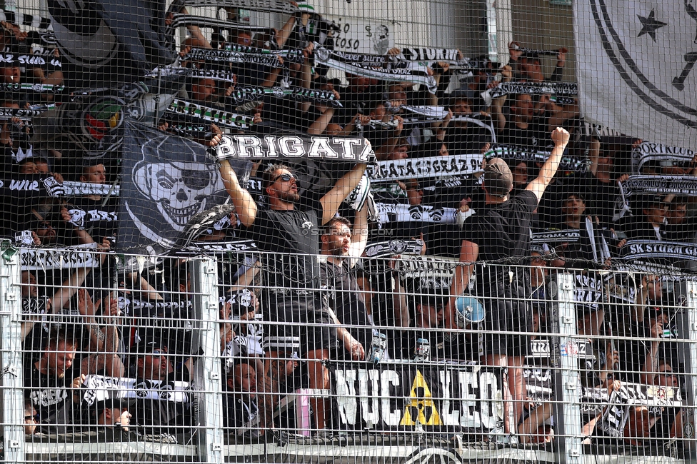 BW Linz - Sturm Graz
Oesterreichische Fussball Bundesliga, 29. Runde, Blau-Weiss Linz - SK Sturm Graz, Hofmann Personal Stadion Linz, 04.05.2025. 

Foto zeigt Fans von Sturm
