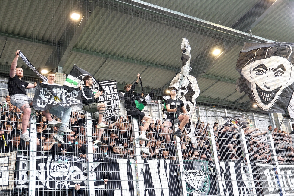 BW Linz - Sturm Graz
Oesterreichische Fussball Bundesliga, 29. Runde, Blau-Weiss Linz - SK Sturm Graz, Hofmann Personal Stadion Linz, 04.05.2025. 

Foto zeigt Fans von Sturm
