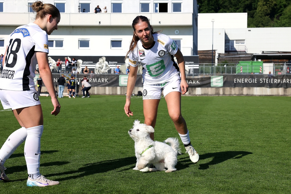 Sturm Damen - St. Poelten
OEFB Frauen Bundesliga, 23. Runde, SK Sturm Graz Damen - SKN St. Poelten, Trainingszentrum Messendorf, 10.05.2025. 

Foto zeigt Modesta Uka (Sturm Damen)
