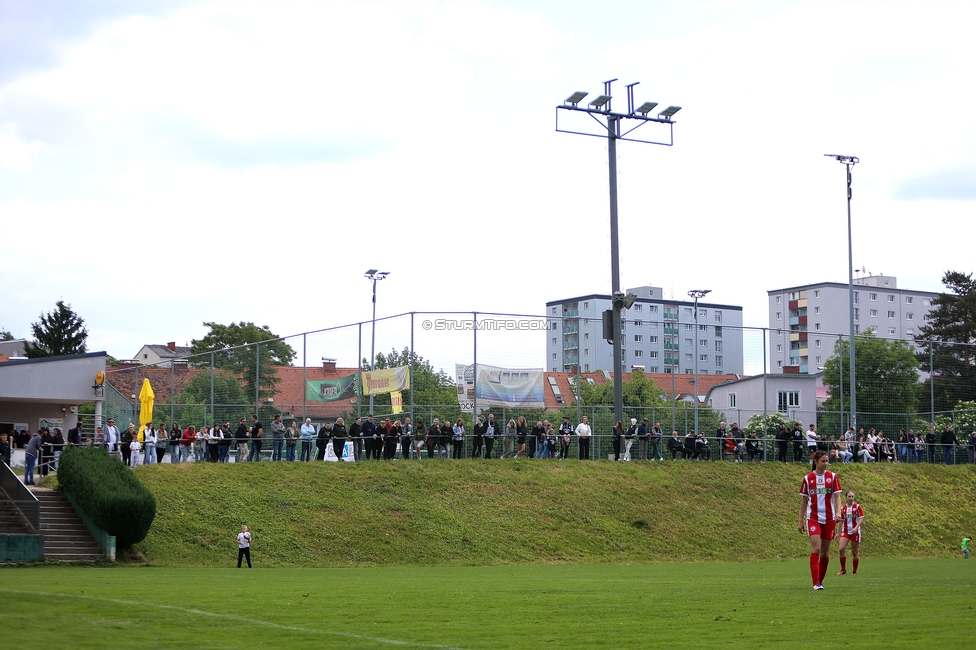 Sturm Damen - GAK 1902
Testspiel, SK Sturm Graz Damen - GAK 1902, Gruabn Graz, 18.05.2025. 

Foto zeigt Fans von Sturm
