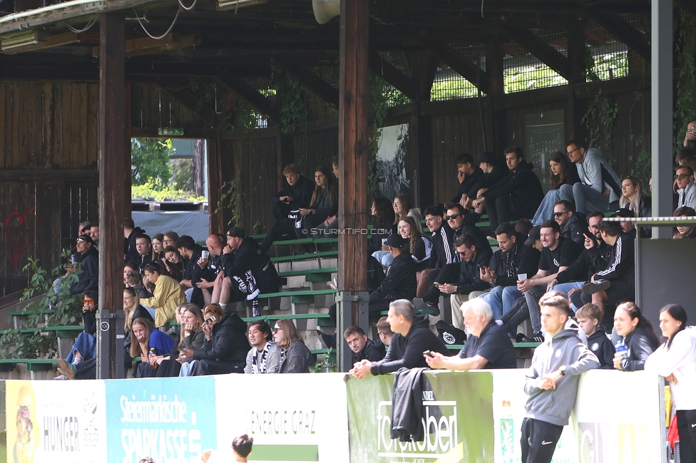 Sturm Damen - GAK 1902
Testspiel, SK Sturm Graz Damen - GAK 1902, Gruabn Graz, 18.05.2025. 

Foto zeigt Fans von Sturm
