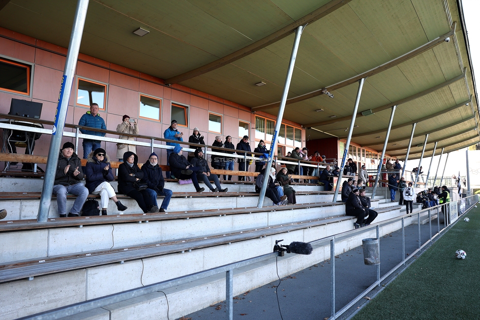Sturm Damen - Suedburgenland Hartberg
OEFB Frauen Bundesliga, 13. Runde, SK Sturm Graz Damen - SpG Suedburgenland TSV Hartberg, Koralmstadion Deutschlandsberg, 23.11.2025. 

Foto zeigt Fans
